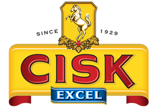 CISK Excel Logo
